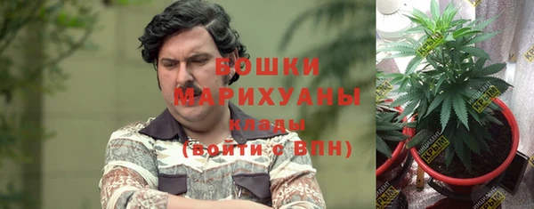 винт Алексин