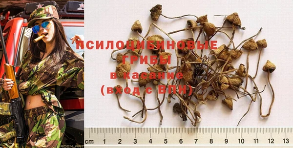 бошки Алексеевка